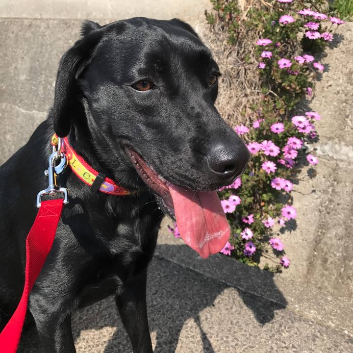 Bd185354 b795 4687 b62b 40940ae18277