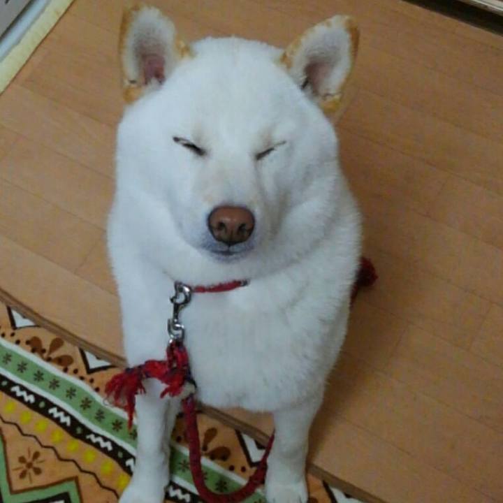 Bd18970a cf7f 4fe5 9a32 078cb42bd90b