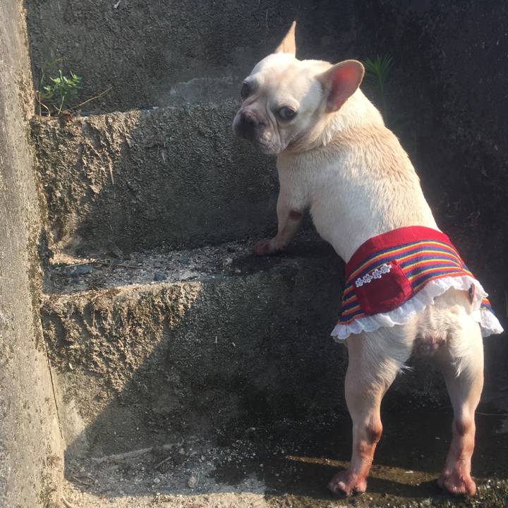 Bd1943bf 40eb 4ba8 ab62 980882a1fd8f