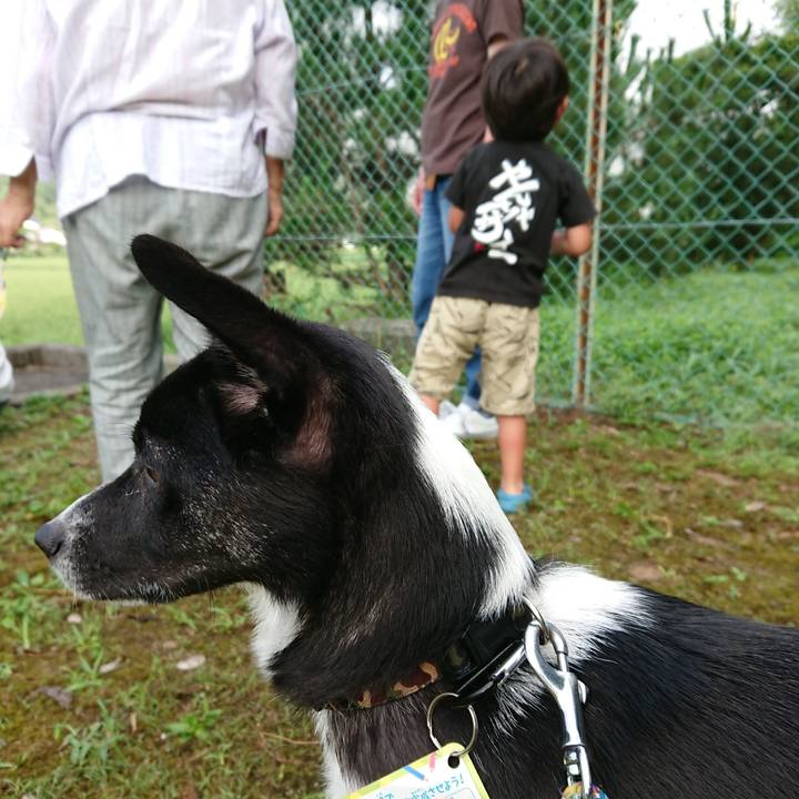 Bd19d157 df92 4277 9717 bdd08262e1c6