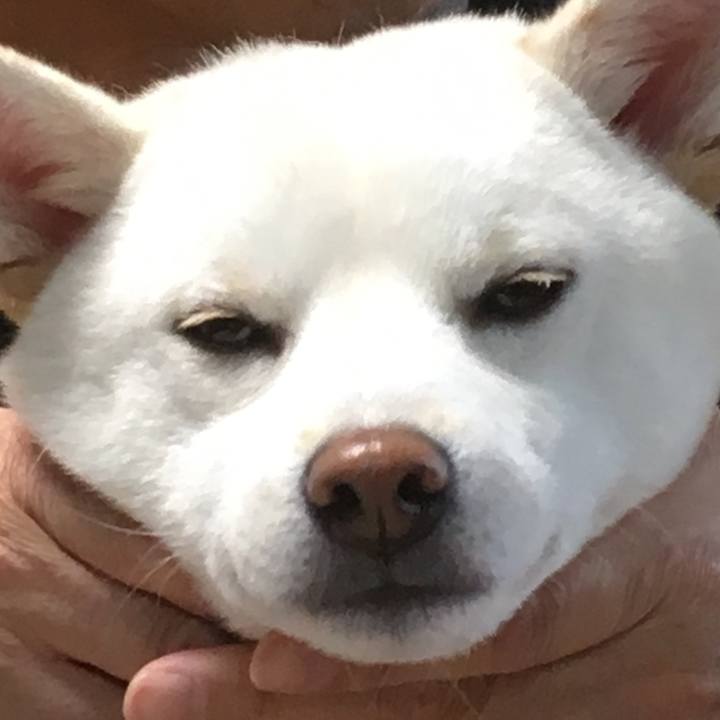 Bd1a305c 7a49 4b9a b8c1 07d8aacffab1