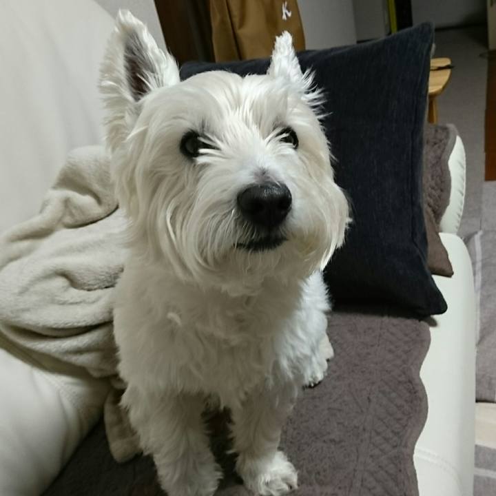 Bd1a90d7 b74b 48af bcf6 15a24776e2de