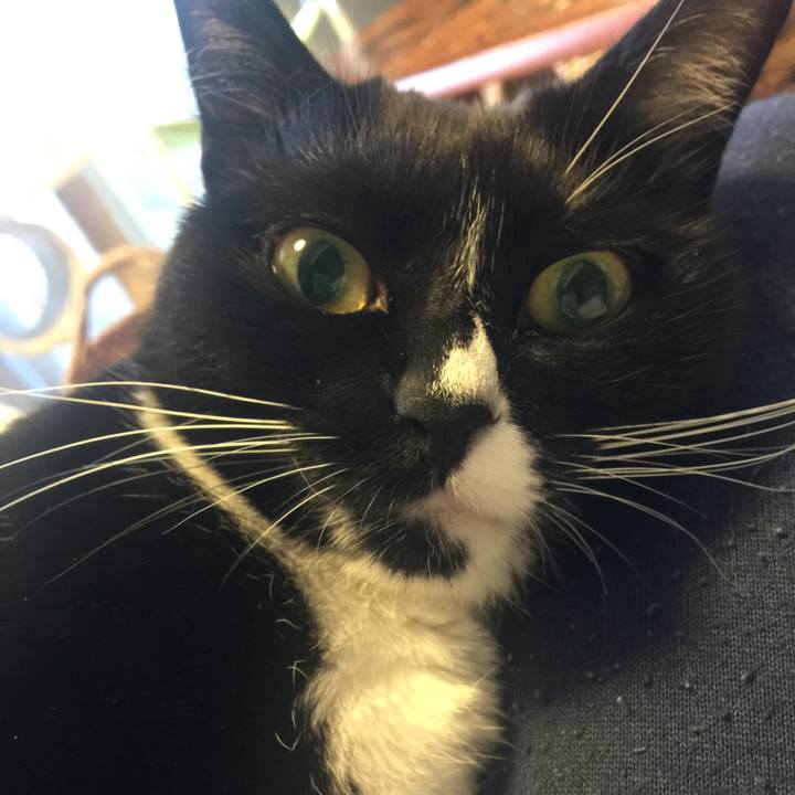 Bd1ac585 1707 49fa b067 853064f2a4eb