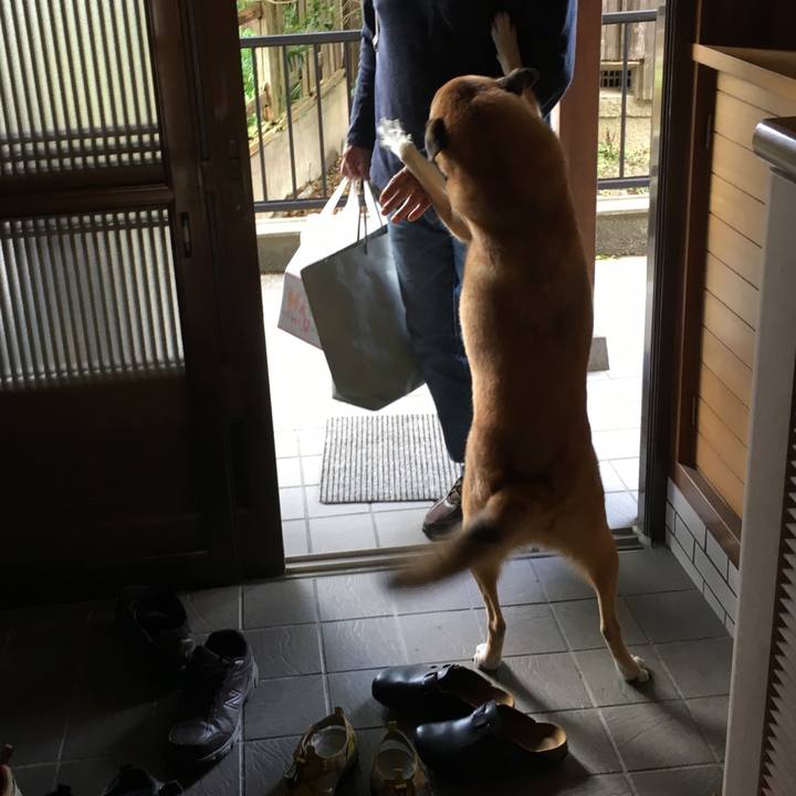 Bd1b03e1 9ef4 4dec a48a 9f9978f71f95