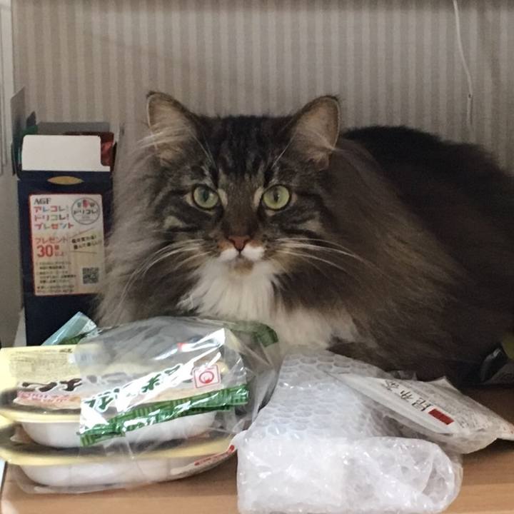 Bd1b83ad 0f09 4fb0 a2fd 322d876382a1