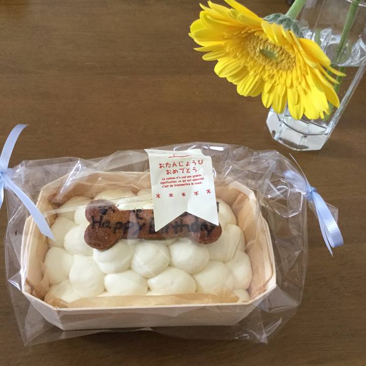 Bd1bd114 222d 46a1 9141 ab39d8f1d00d