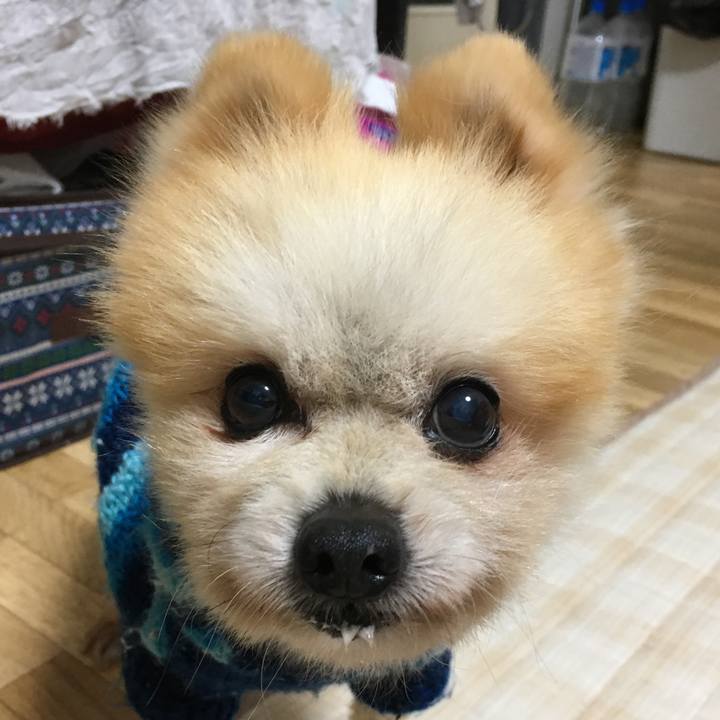 Bd1befc0 b919 4b9e a8a9 59ea42e433c6