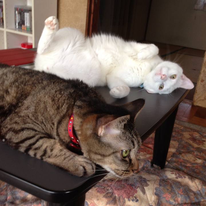 Bd1cafb0 e1c4 4719 994c d6c668d7628a