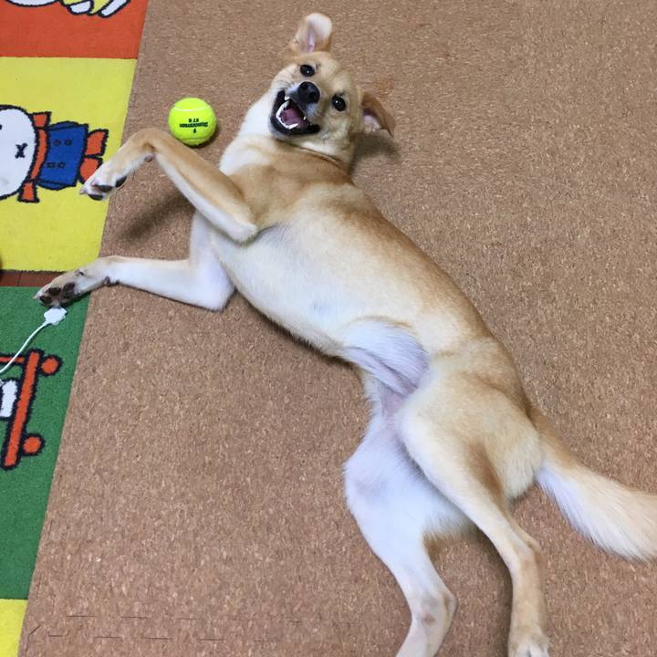 Bd1d5645 5065 483c bfc0 d0a9cbf16c1a