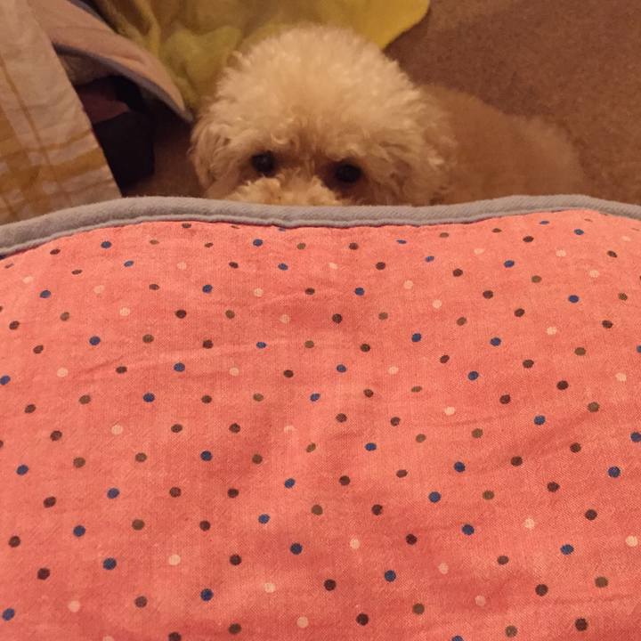 Bd1ede6a 9acb 4762 8756 f71cd57037a2