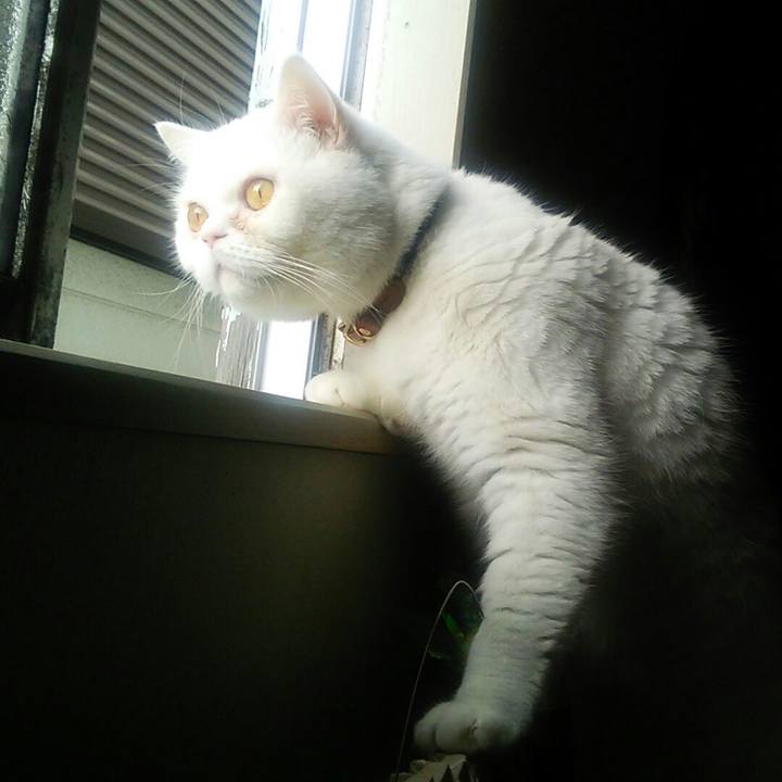 Bd1f38de 6e19 4bf5 a2fb 8bd43129a75b