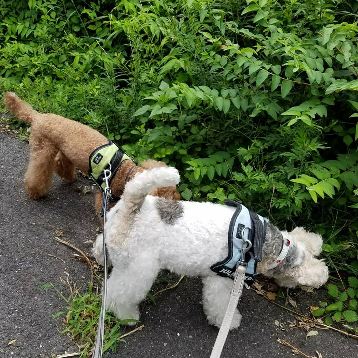 Bd1f51e7 6bcd 41ed 9eac 745739e0a8b1