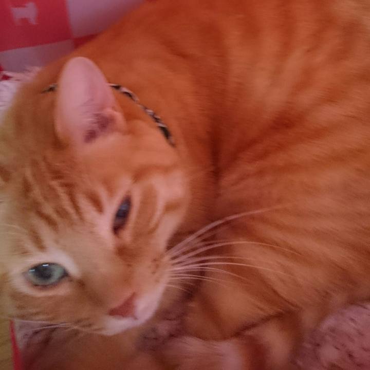 Bd1fd302 859f 4a9a ad45 8735f8f82d6c