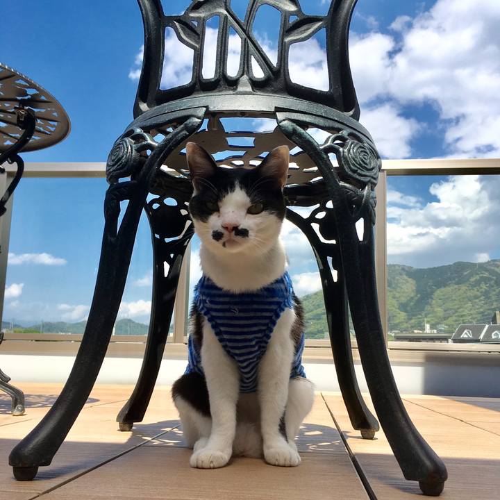 Bd1fe909 42a9 4023 bf1e 1c668397b4b0