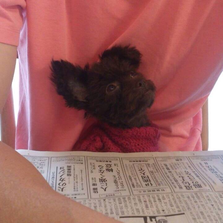 Bd20282a 5f28 42f6 8ea9 f71d78dc8133