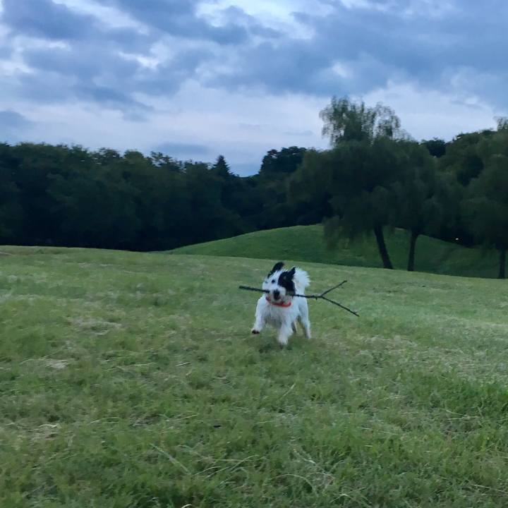 Bd219cf4 f69c 45c6 8e05 1f536a659a7d