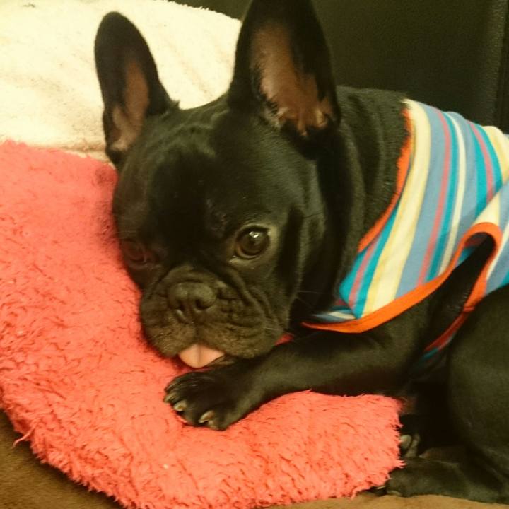 Bd21c1e1 1ceb 44f3 9e67 ace9b5a29388