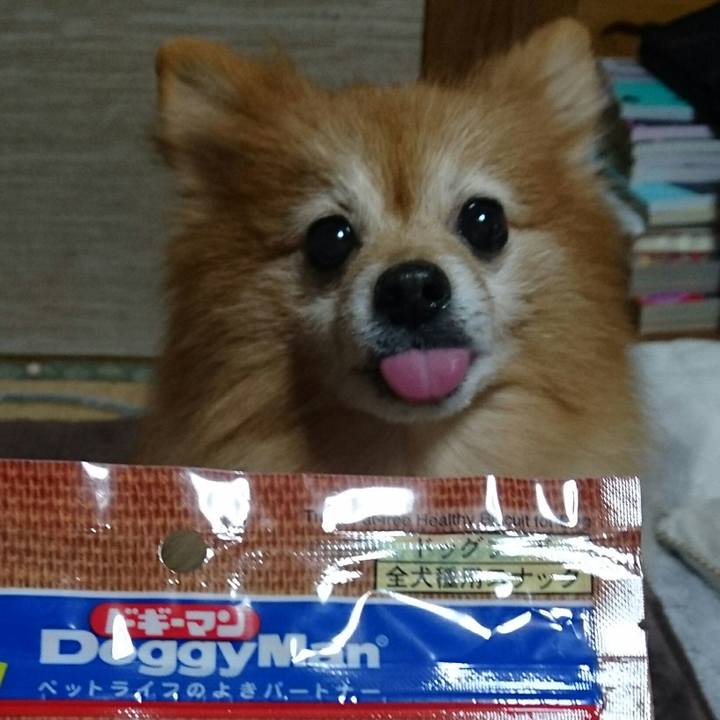 Bd21ca75 34f9 4e08 a854 991b7908a991