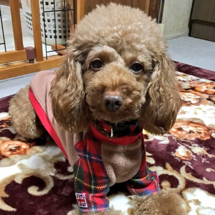 Bd2268a9 3cd7 4e4c 9d72 a27d19df269c