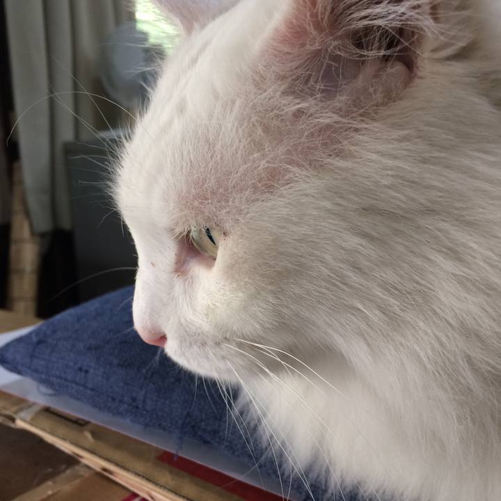 Bd23696c 60f6 4650 a25a 5df21b4c43a0