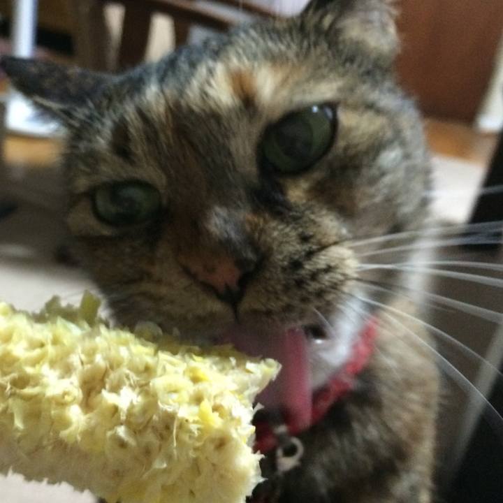 Bd23891b 9ab0 4ce3 80bd 5e6b9b68c528