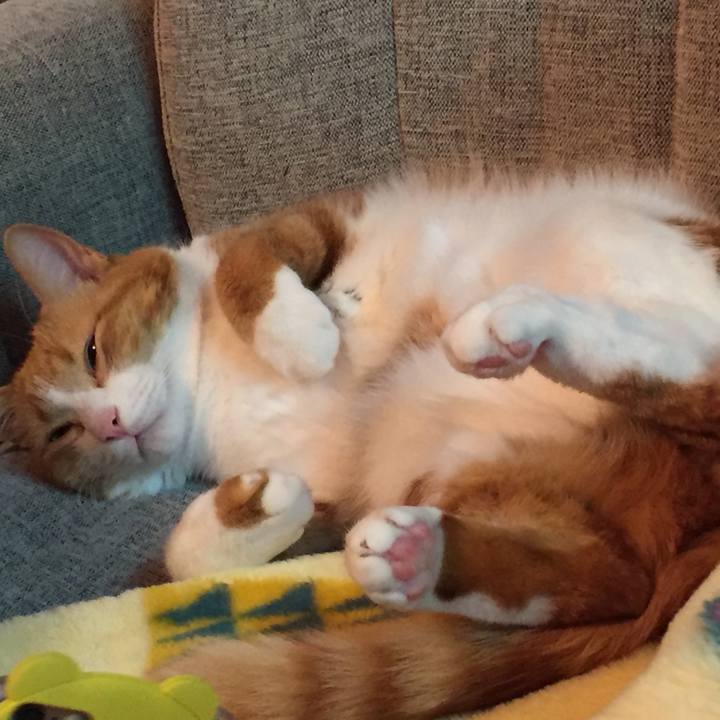 Bd23e32f bca2 4558 b926 b08d6dca062c