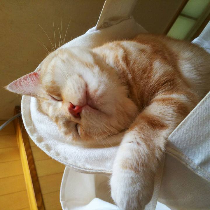 Bd242add a663 4a07 a2ae 36e64b250a89