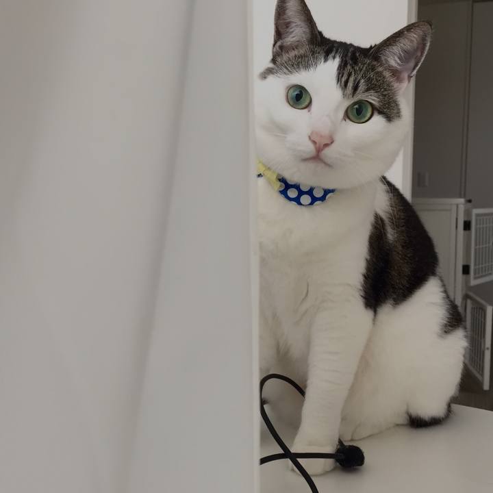 Bd245cc7 723d 4939 af4b 882ff45f5c91