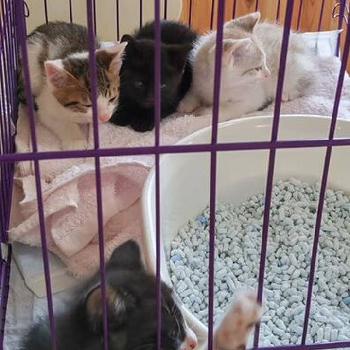 Bd24b0d1 1e86 4f84 a3ec 9723e66db005