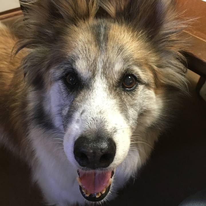 Bd253d42 0562 479e ae95 e5a89028cafe