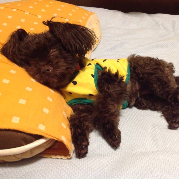 Bd25ac5e 224b 483d be09 617001d0adaf