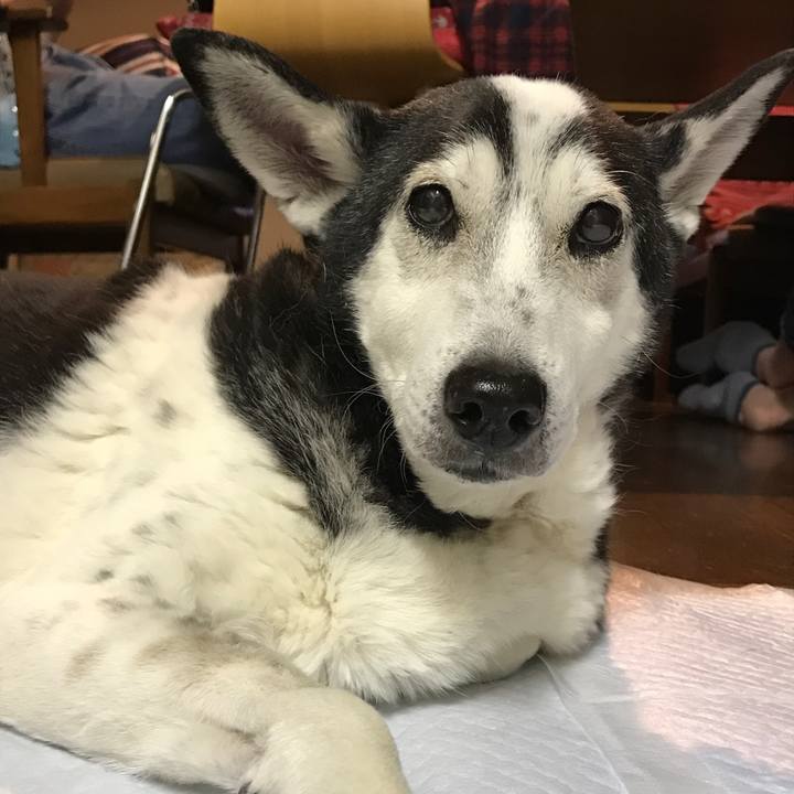 Bd25ac61 961f 479a acf4 25a8dbd4cff9