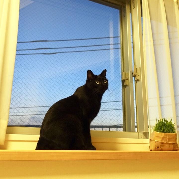 Bd25d11a ce27 4d90 a6db 1876be4ec575