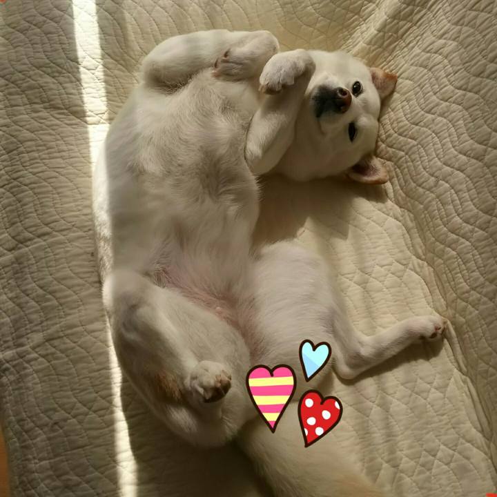 Bd26b618 f3b6 45f0 ae55 9db9af565507