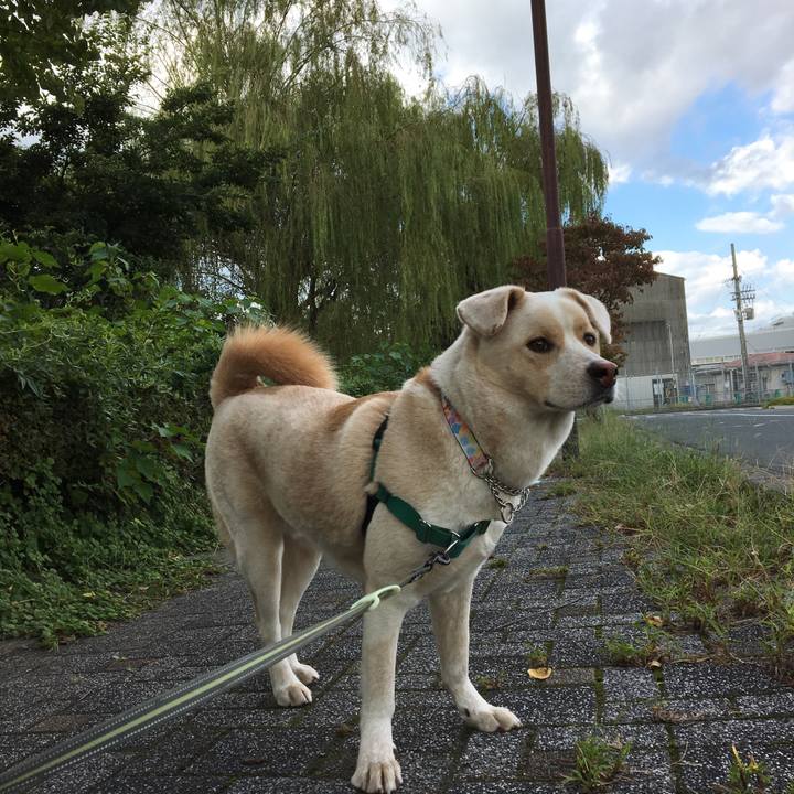 Bd2809a5 45bf 4446 9be4 9251f3da1cee