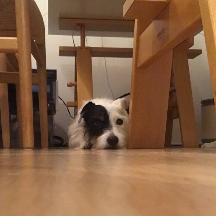 Bd284949 9cb0 46bc a3a6 cc740647b3ca