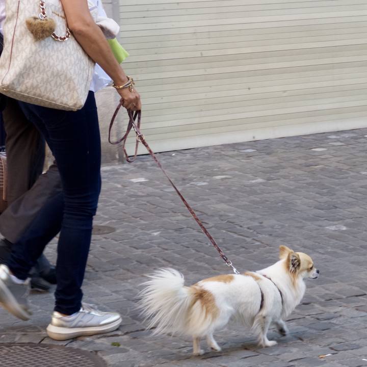 Bd2852c2 0ab7 42e5 a8ef 5b9492777954