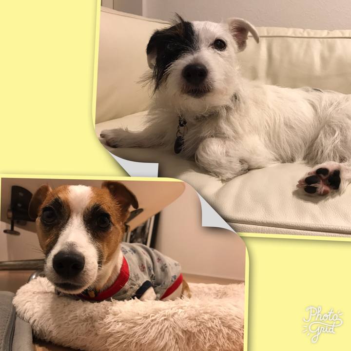 Bd28b3e0 99af 4c23 837a df1918ec1f59