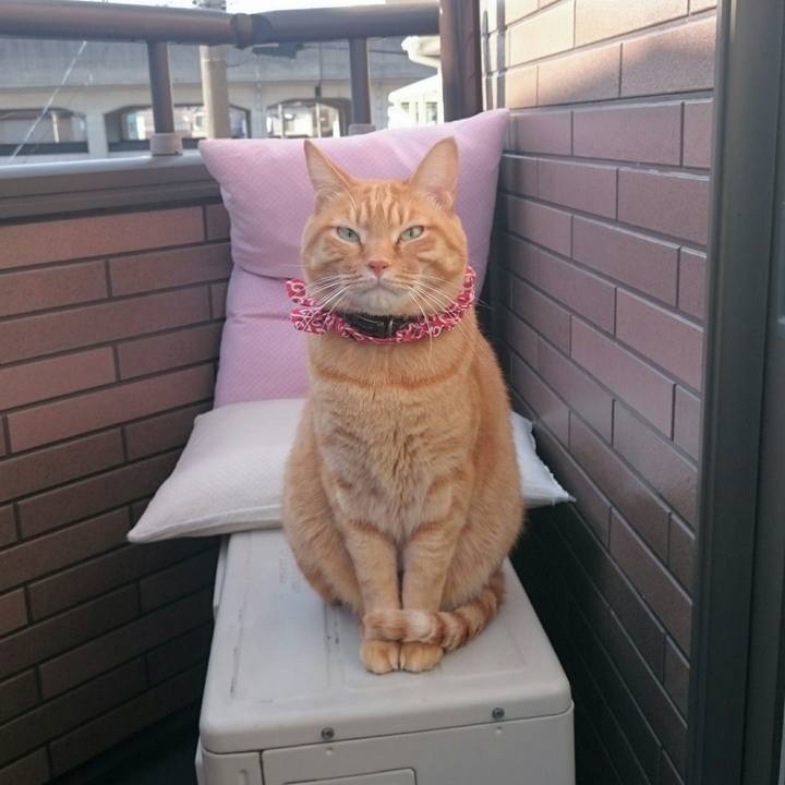 Bd293798 32b3 4e0a a76c d458a6249a40