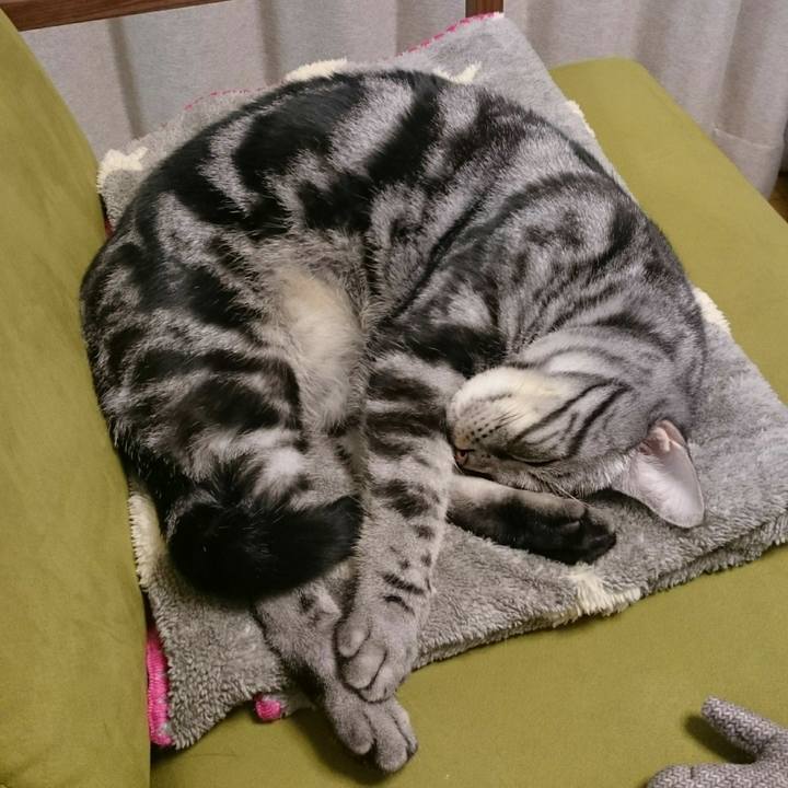 Bd295297 9a27 4be6 ad07 3817b7c7506a