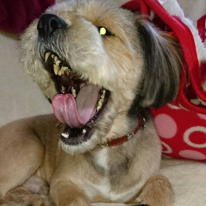 Bd2969af ce98 4073 8766 6cbe676b3e11