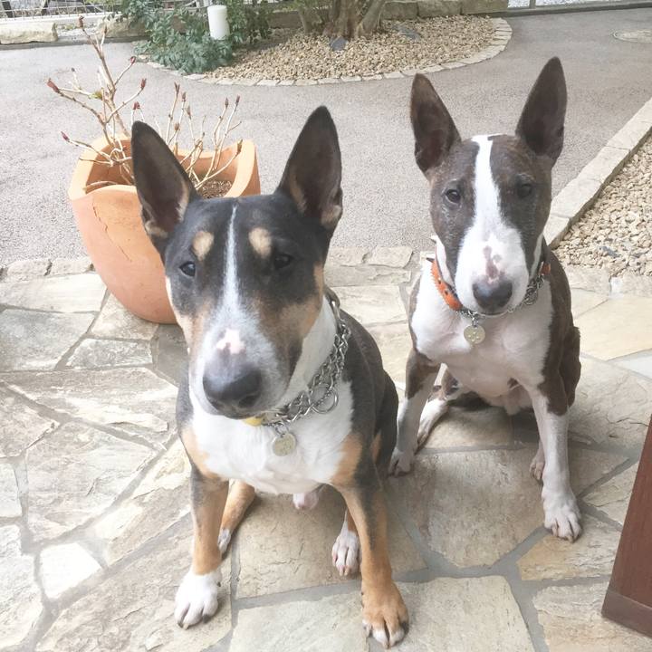 Bd29b991 32eb 474b 94dd d6a451e7d046