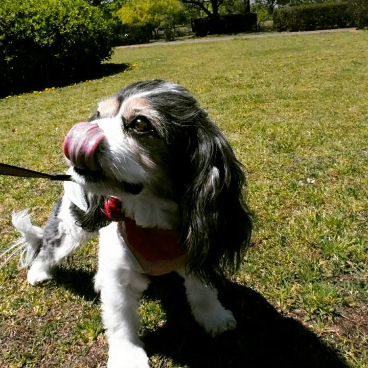 Bd2a41e1 3c22 4e32 ac16 0011944a20a0