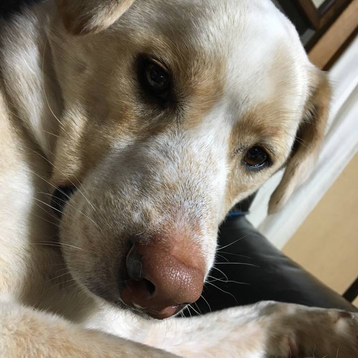 Bd2a6740 652e 4621 9437 79db0be9133c