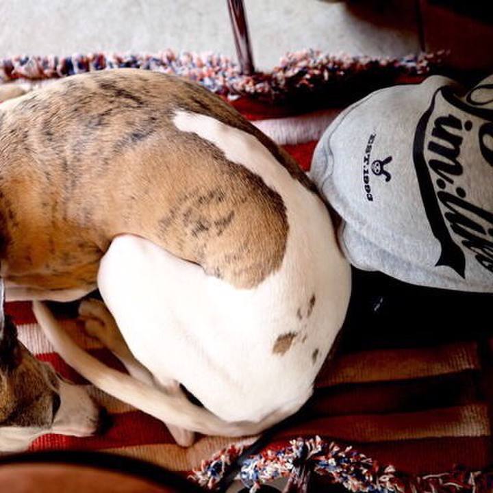 Bd2a9038 23d1 4e9d a5af 15ffa94e7807