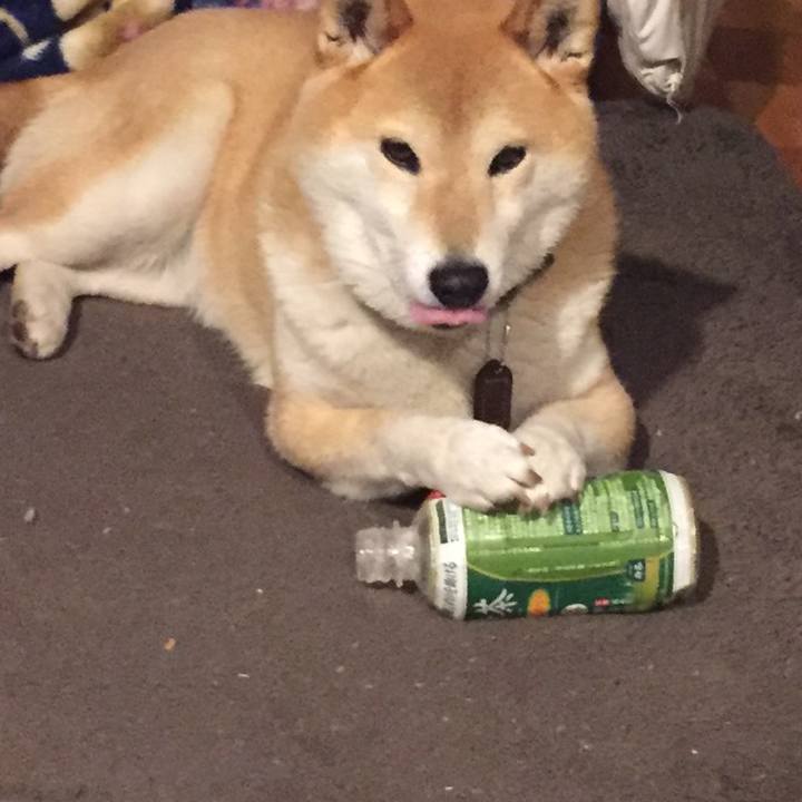 Bd2ad362 8897 4590 b1b7 f1da7426fdb9