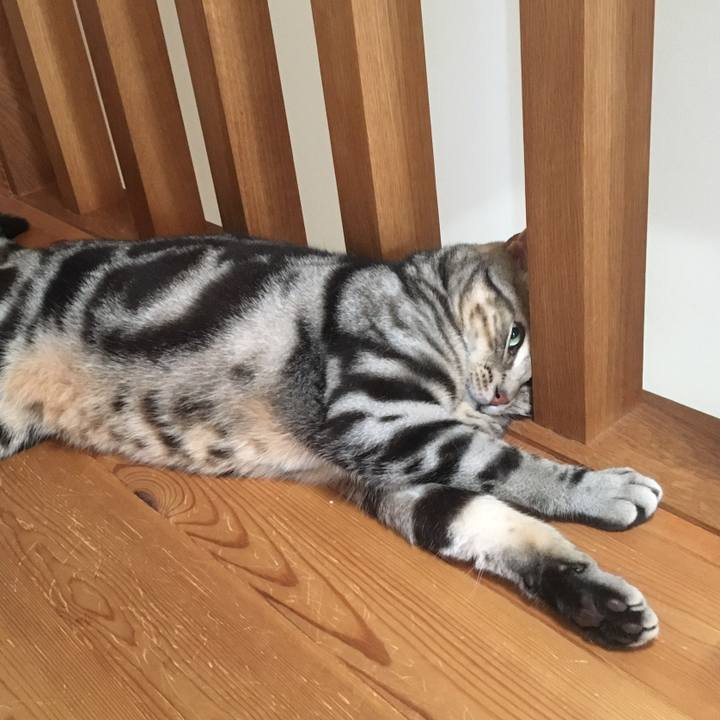 Bd2b18ec afd3 4f37 8f2a 19934f1997b0