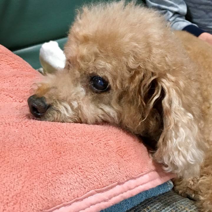 Bd2b9c42 4475 410e bc04 691734dee72f