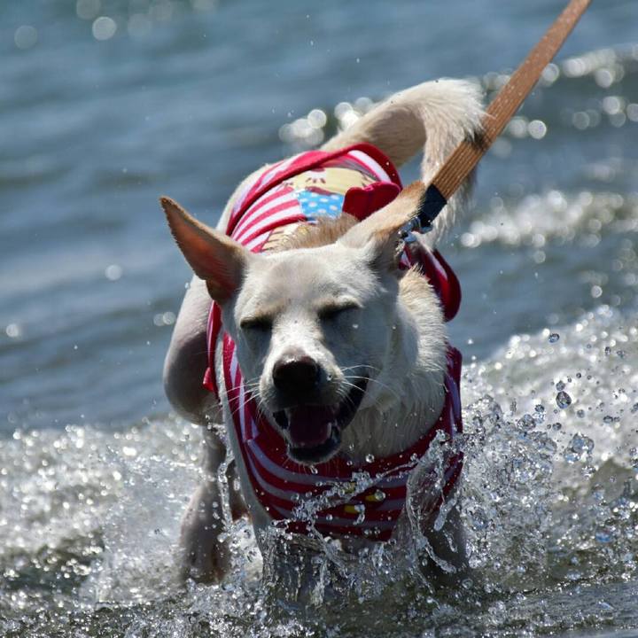 Bd2c4717 a2f0 44e8 81dc 313c0bc9d40f