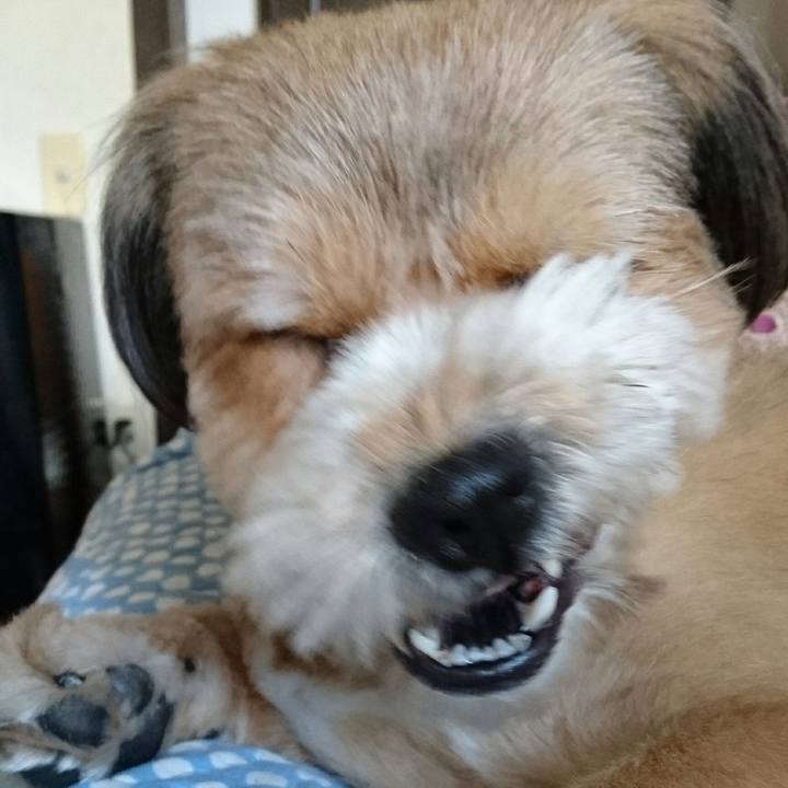 Bd2d5ea7 fcc6 4ac0 b368 d948d8fe1d68